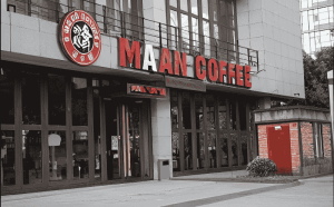 洱海之畔的诗意栖居：解码双廊古镇咖啡店的文化密码