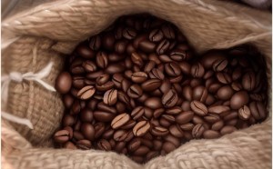 德龙咖啡机EC685中文使用说明书详解