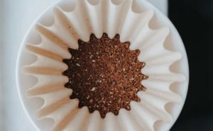 煮咖啡如何挑选咖啡豆？从品种到烘焙的完整指南