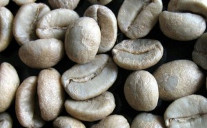 买咖啡豆哪个牌子好