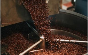 杯中之物打一正确的生肖，经典资料解释落实