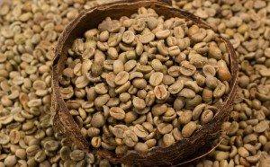 illy Y5胶囊咖啡机使用全指南：从入门到精通