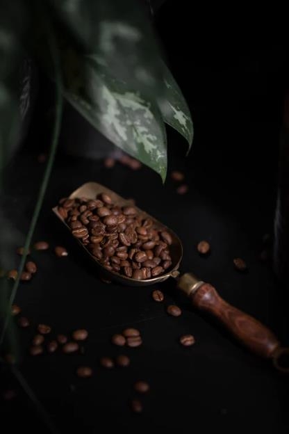 秋林摩卡咖啡：传统工艺与现代滋味的完美融合