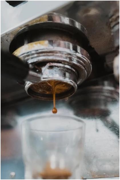 有猫咖啡店：治愈经济下的城市新地标