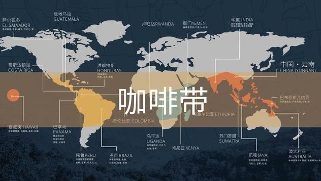 有机咖啡粉与牛奶的黄金比例探索