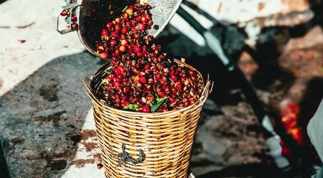 美味的温咖啡豆，比你想象的更具创意