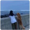 那、回忆很美