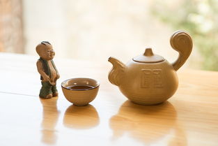 茶香四溢，功夫茶艺的诗意人生_功夫茶茶艺表演解说