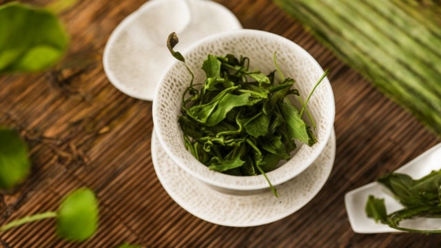 霍山黄芽特级黄茶:独具风味的顶级佳饮 霍山黄芽特级黄茶:独具风味的顶级佳饮