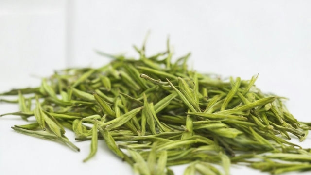 探寻君山银针茶树品种:解析多样性与特色,品味茶叶文化的精髓 探寻君山银针茶树品种:解析多样性与特色,品味茶叶文化的精髓