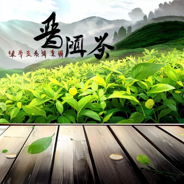 天一堂普洱茶 天一堂普洱茶